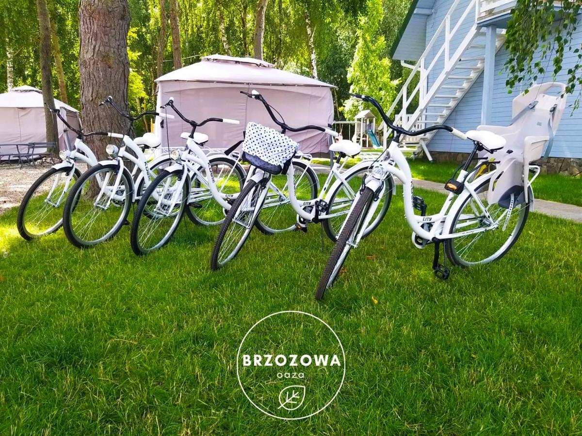 Апартаменты Brzozowa Oaza Мжежино Экстерьер фото